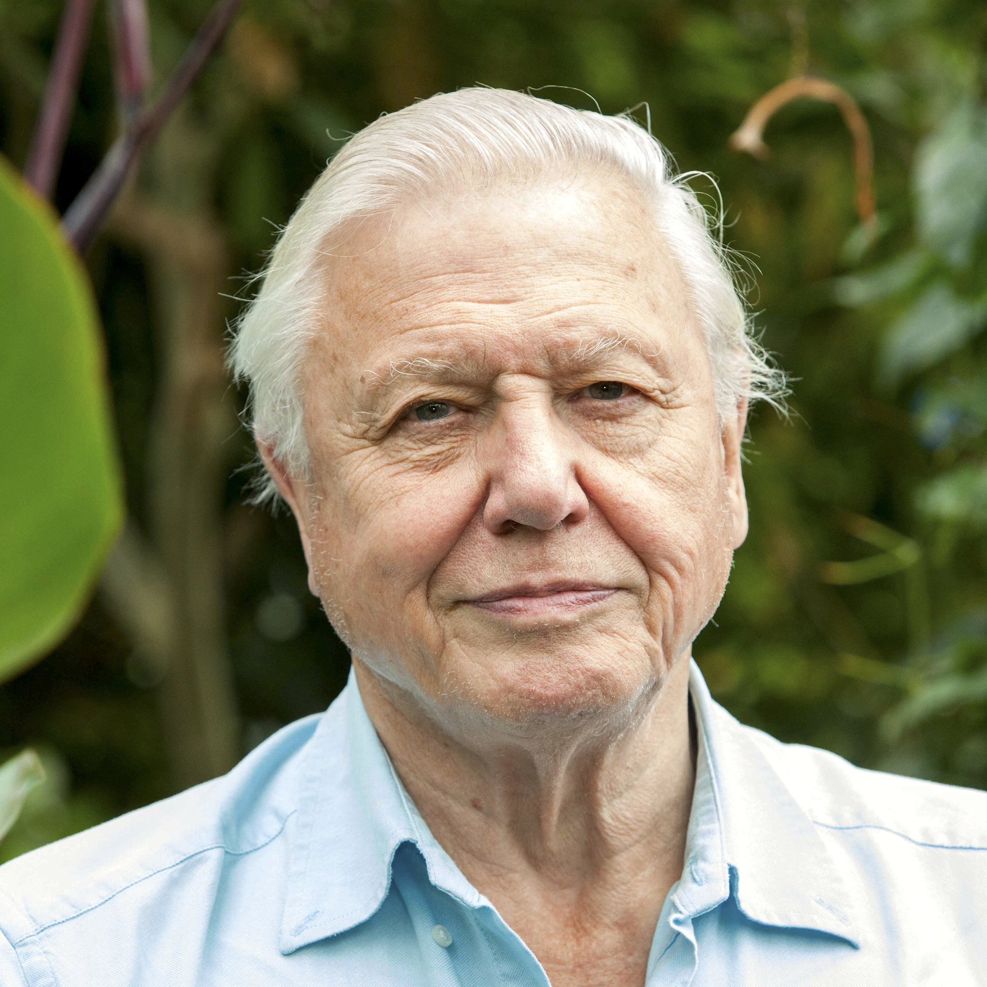 David Attenborough