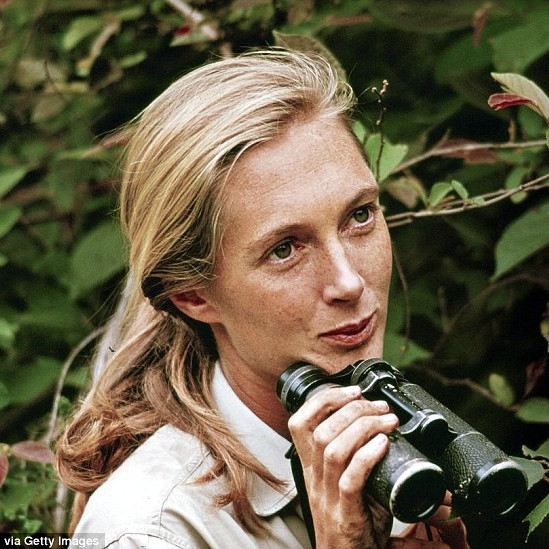 Jane Goodall